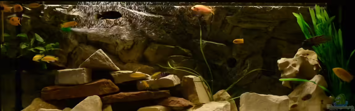 Becken 30372, wird aufgelöst. von Malawi-Freunde