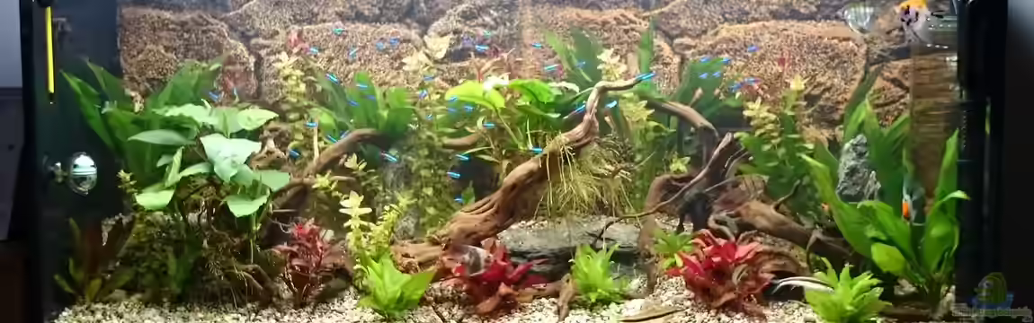 Becken 30531 von Skalar8705