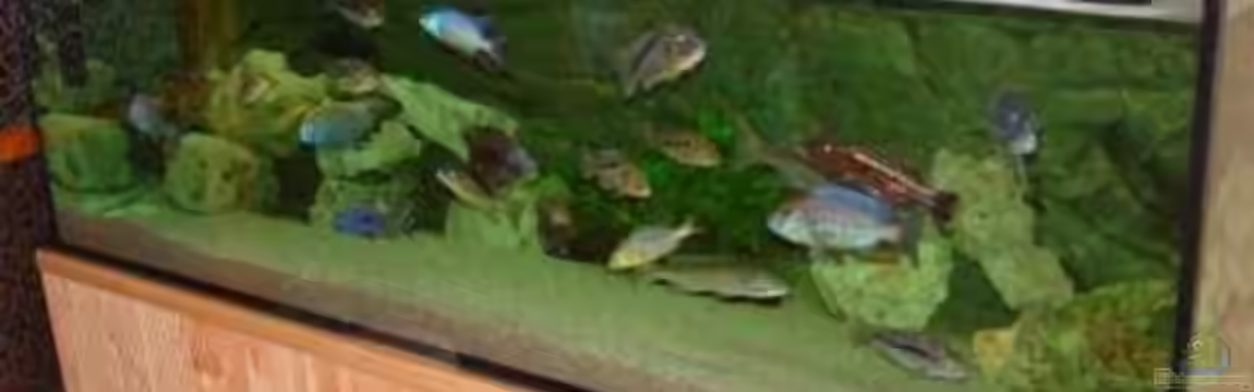 Becken 3055 von Thomas Knecht