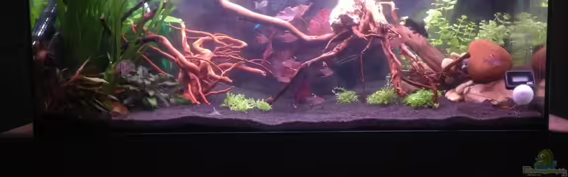 Becken 30559 von Marcel Klein