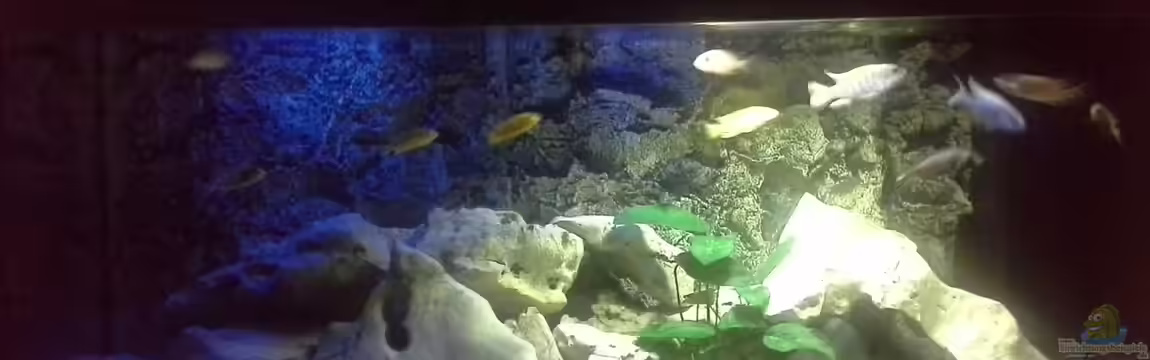 Becken 30715 von Der Burgenländer