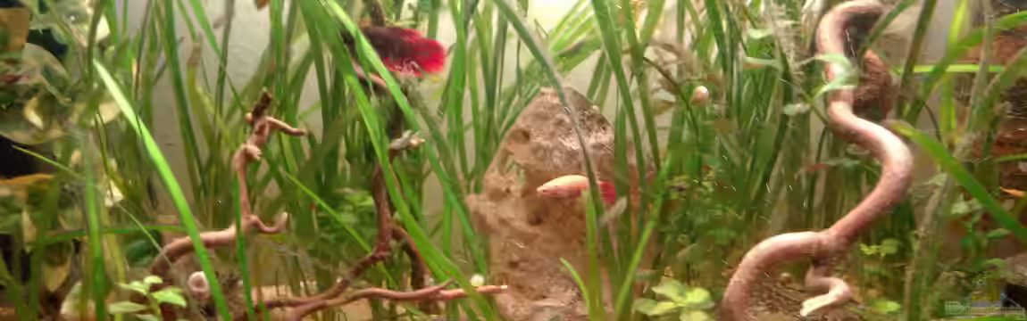 Becken 30740 von Trinitystar27