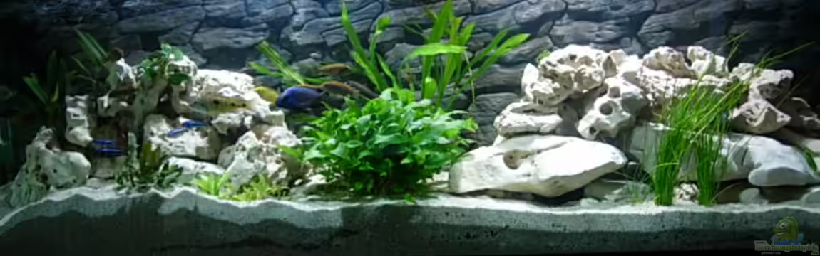 Becken 3076 von Stefan Grabher