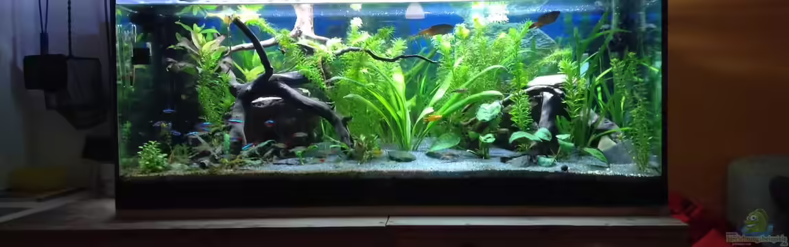 Becken 30761 von Quasi