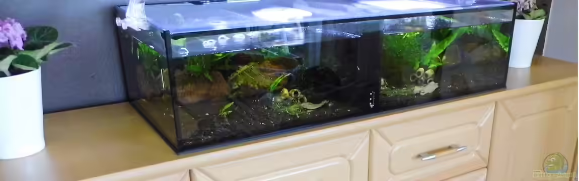 Becken 30779 von ob64