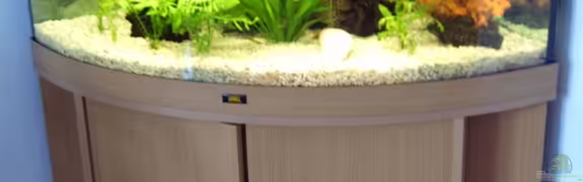 Becken 3081 von Hüseyin Altin