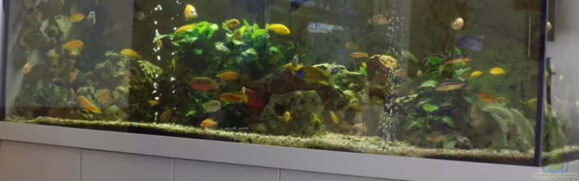 Becken 30922 von Jürgen Ziegler