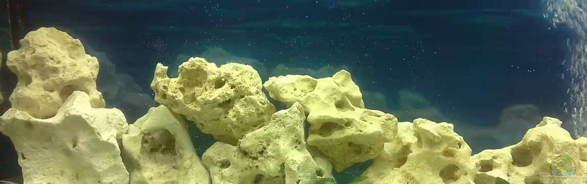 Becken 30976 von keba