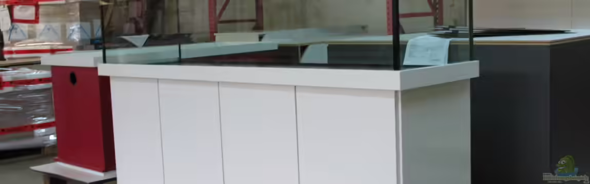 Becken 31105 von delphin