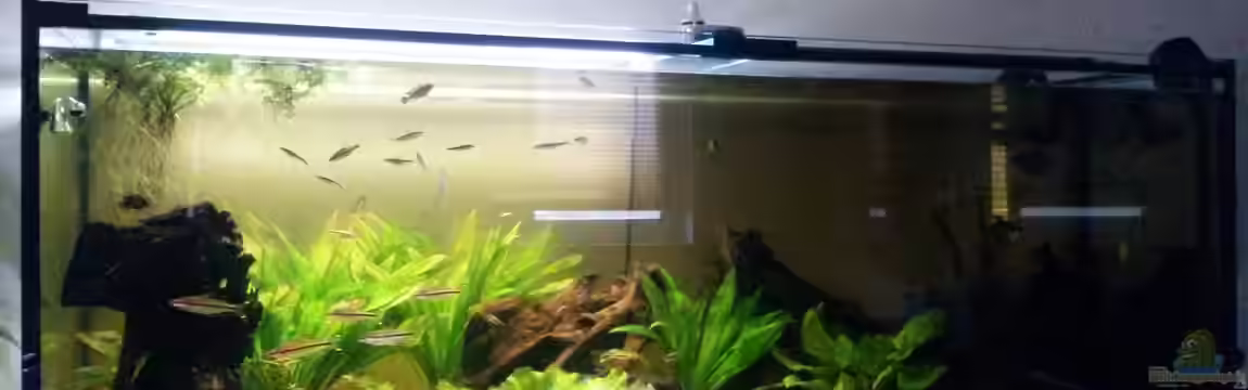 Becken 31192 von HangSu