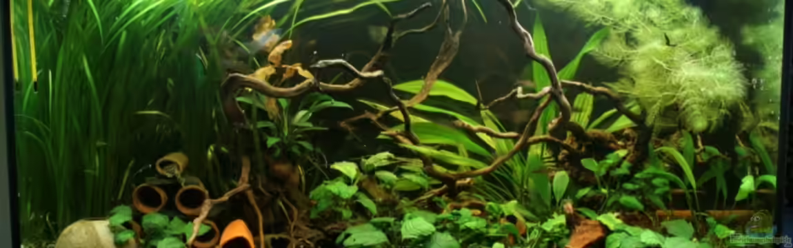 Becken 3121 von Oxid81