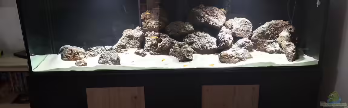 Becken 31478 von Marcel Müller