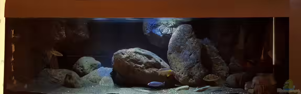 Becken 31530 von Simon Maurer