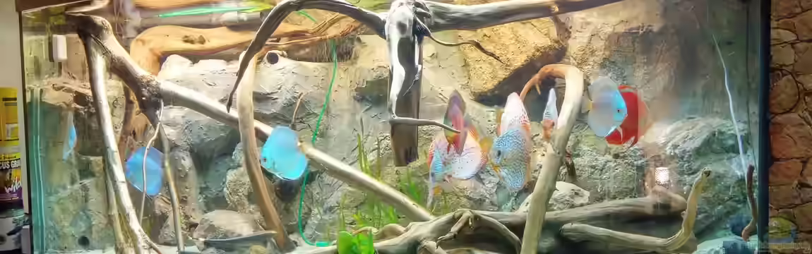 Becken 31764 von Oliver Boden