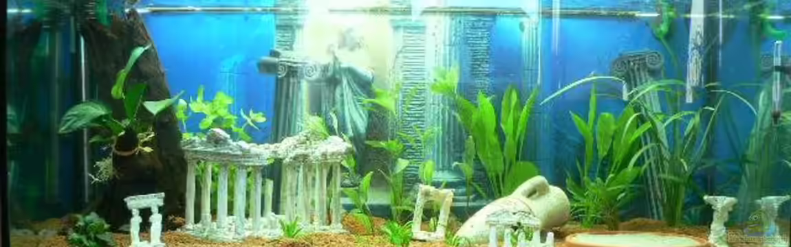 Becken 3177 von Peter Giesbrecht