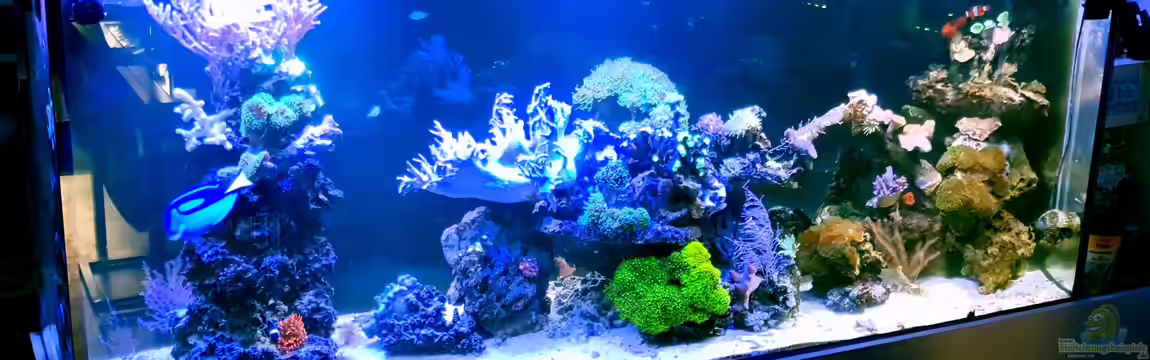 Becken 31865 von Peter-Kerstin Andreas