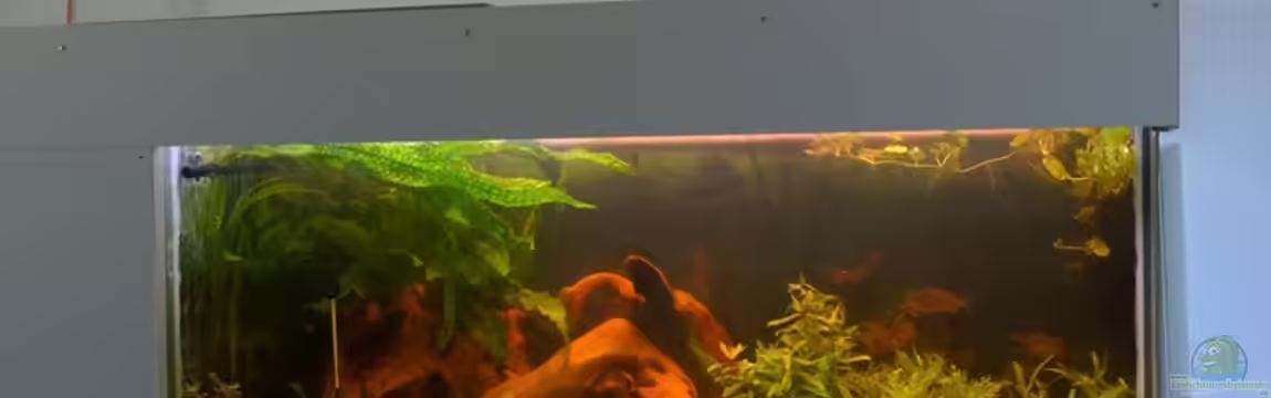 Becken 32000 von Hans-Walter Bandt