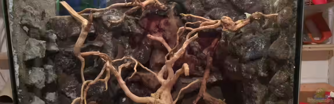 Becken 32076 von Dülla