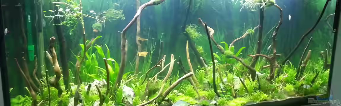 Becken 32118 von Mirakulix89