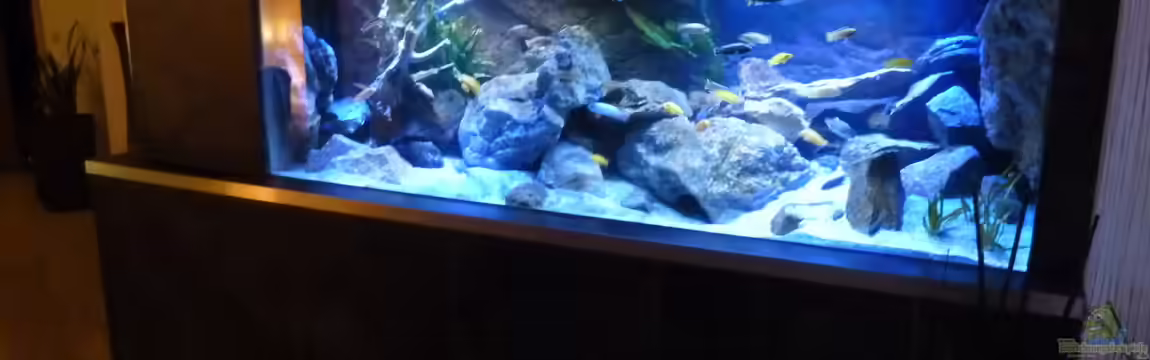 Becken 32316 von Malawinator