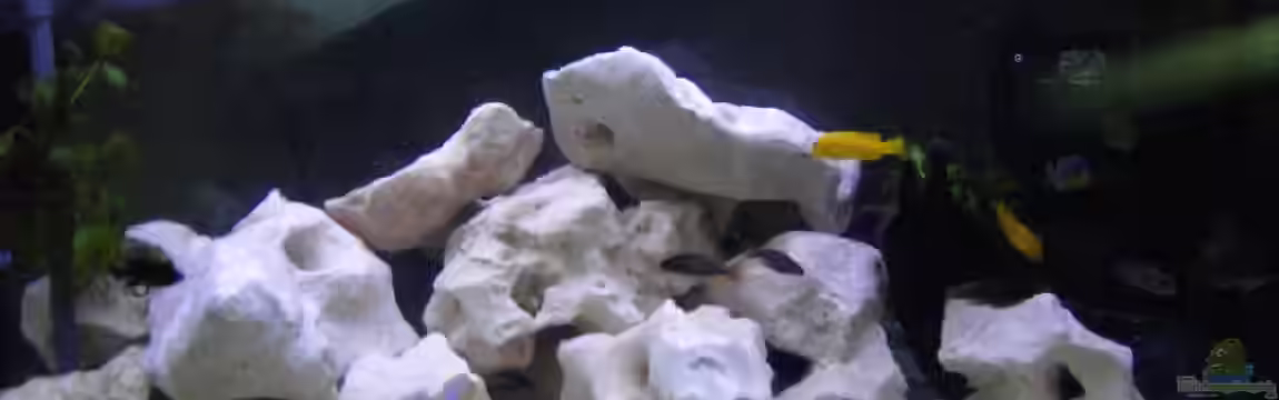 Becken 324 von Kerstin Maier