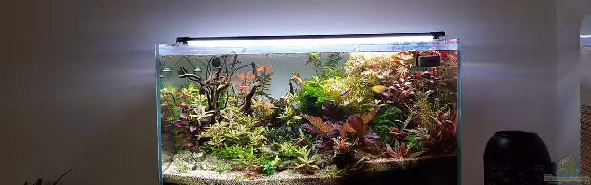 Becken 32455 von Livia & Marc