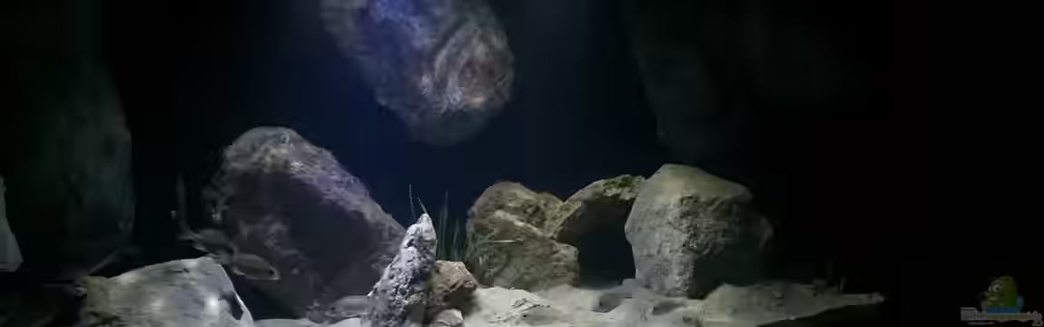 Becken 32516 von Marcel Ille