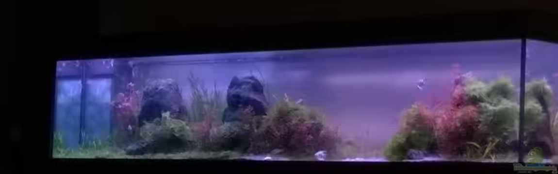 Becken 32605 von Aquatic