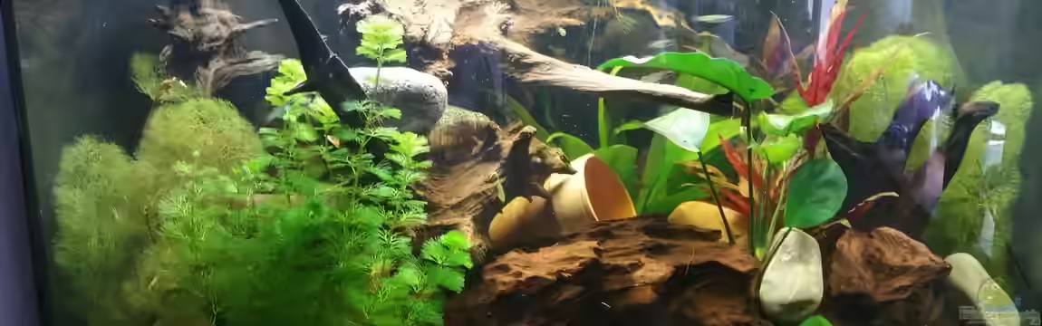 Becken 32610 von Robert Vogt