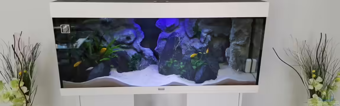 Becken 32640 von Chrille1904