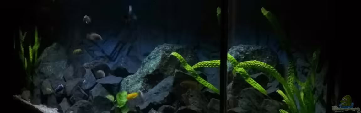 Becken 32694 von Guido Studtrucker