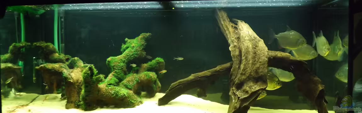 Becken 32811 von FischFlo