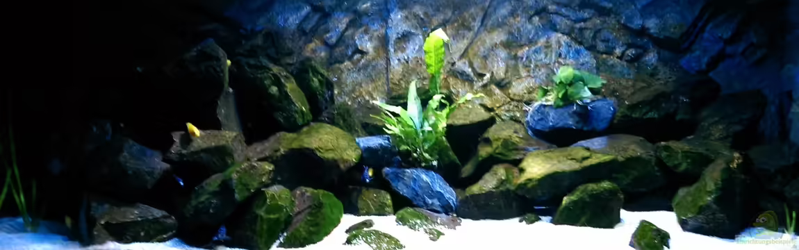 Becken 32905 von Christoph Moser