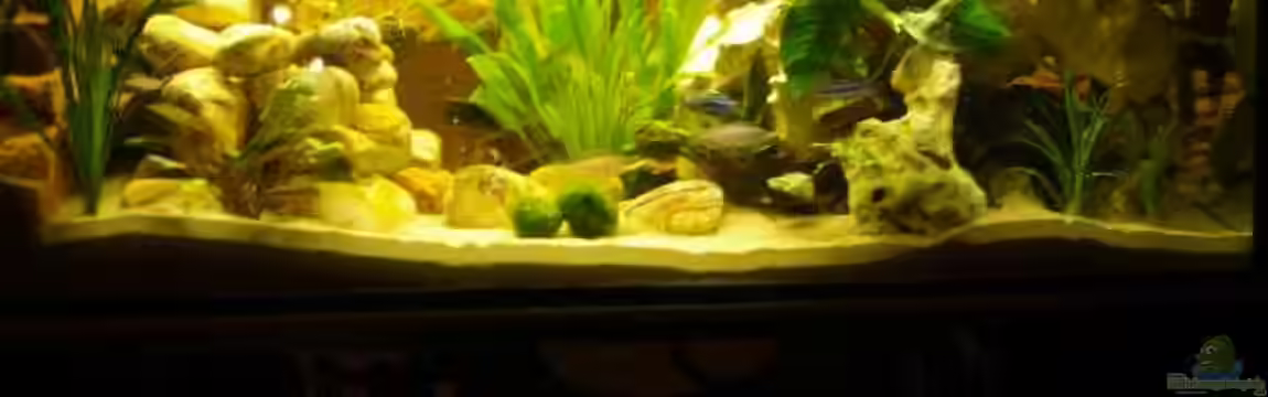 Becken 3292 von Jan Lamaa