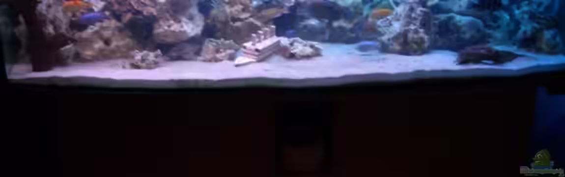 Becken 3333 von Stephan Krammer