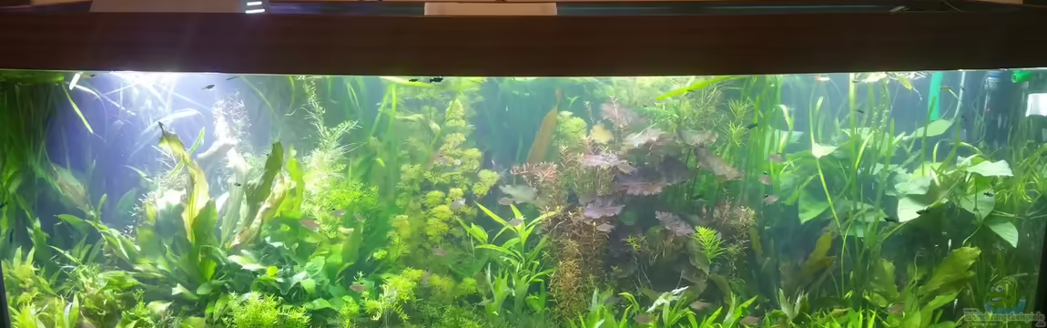 Becken 33384 von Seaofgreen