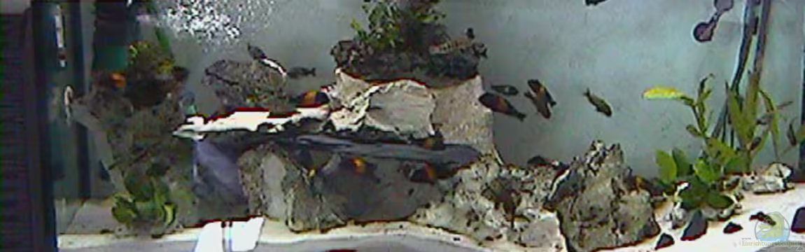 Becken 335 von Dirk Bommes