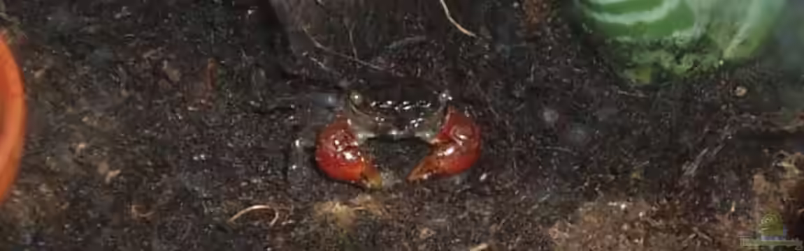 Becken 3360 von Daniela Bleidt