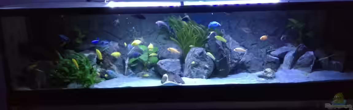 Becken 33718 von Andreas Rieger