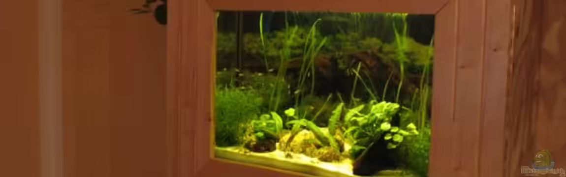 Becken 3419 von Stefan Zaus