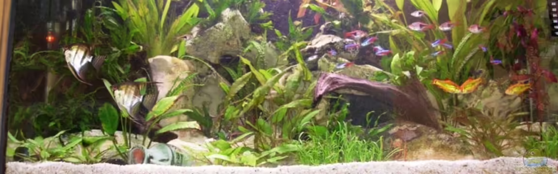 Becken 3444 von Markus Schwally