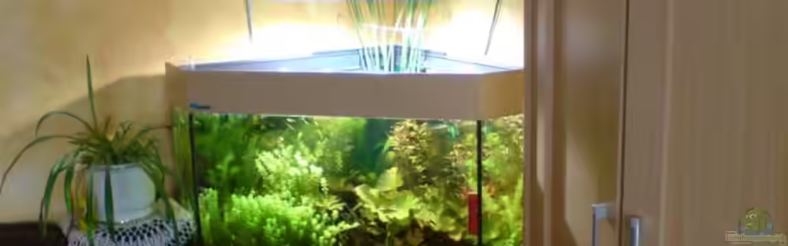 Becken 3466 von Joachim Stoner