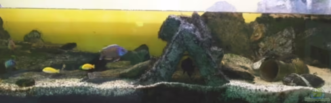 Becken 3472 von s.hofer