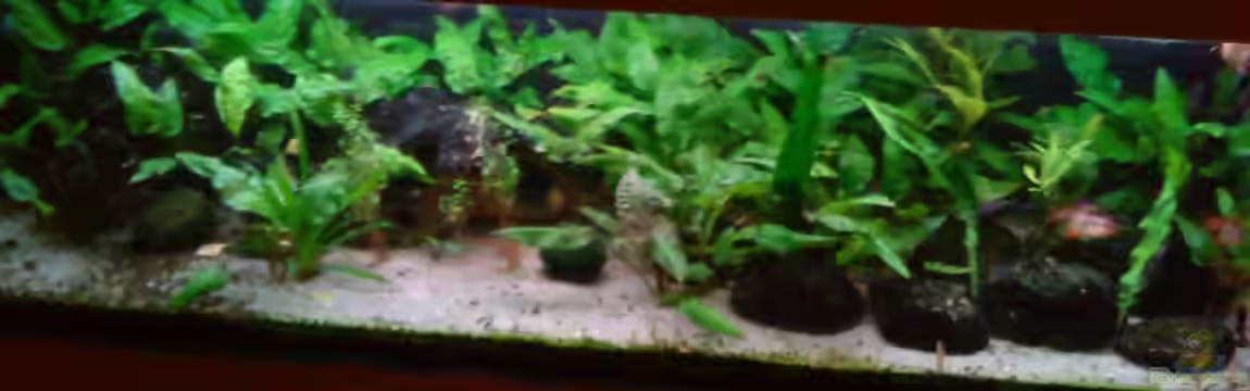 Becken 3483 von Sören Gebhardt