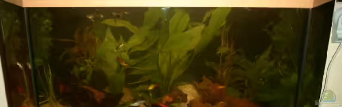 Becken 3509 von Sean & Fynn