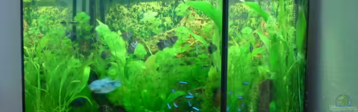 Becken 3510 von Oliver Kemna