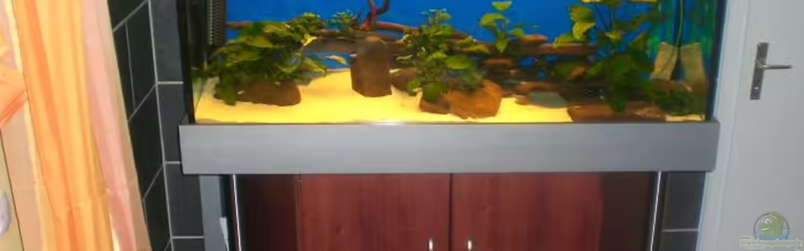 Becken 3540 von Sascha1607