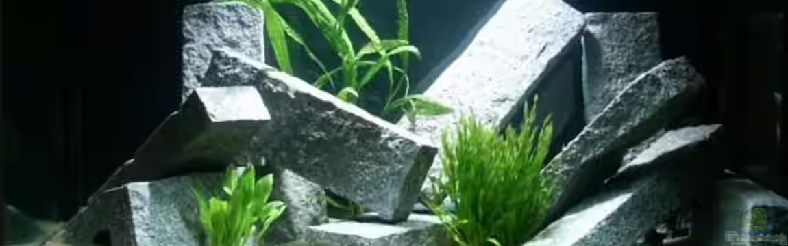 Becken 356 von Markus S. Sorgatz