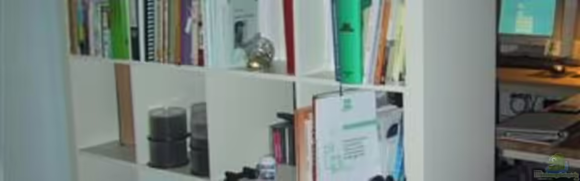 Becken 357 von Fabian Benner