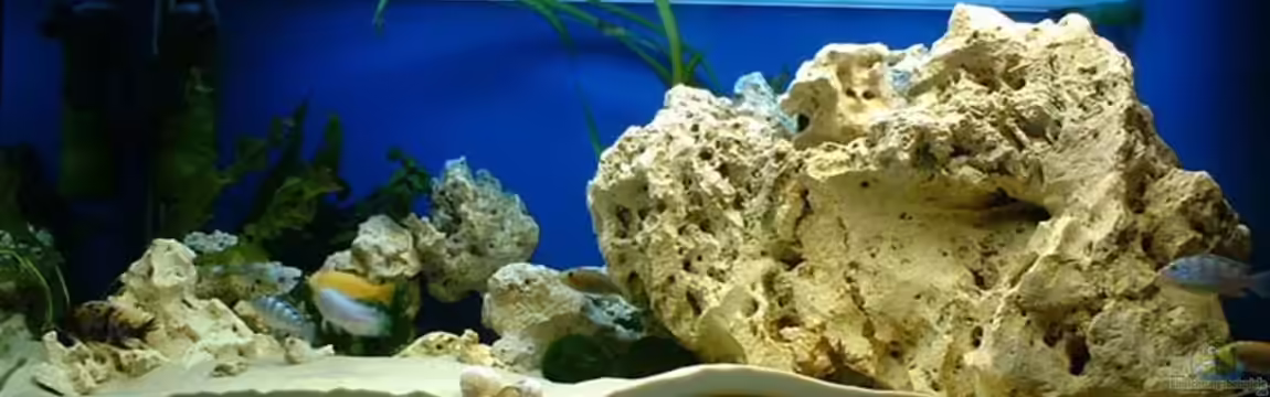 Becken 362 von Lutz Rall